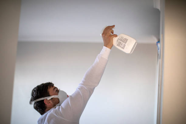 Best Residential Mold Remediation in Chenango Bridge, NY
