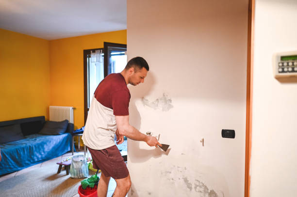 Best HVAC Mold Remediation in Chenango Bridge, NY